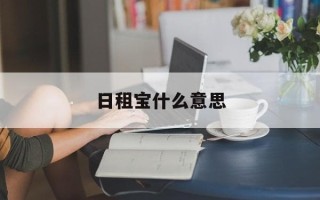 日租宝什么意思