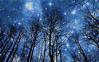 抖音小店商品上架流程是怎样的？如何上架自己的商品？