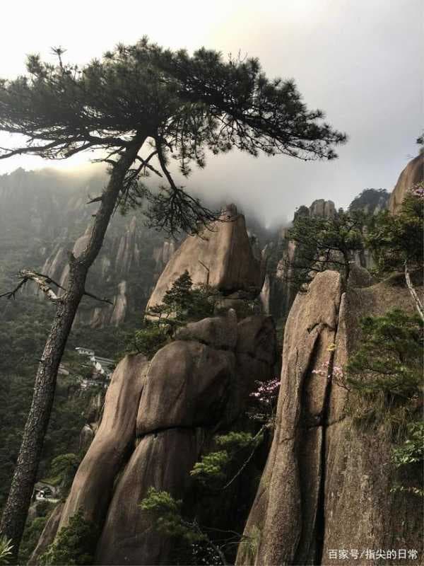 手机三清是什么意思-第2张图片-王尘宇 手机三清是什么意思-第2张图片-王尘宇