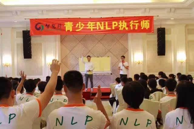 nlp是什么意思-第1张图片-王尘宇