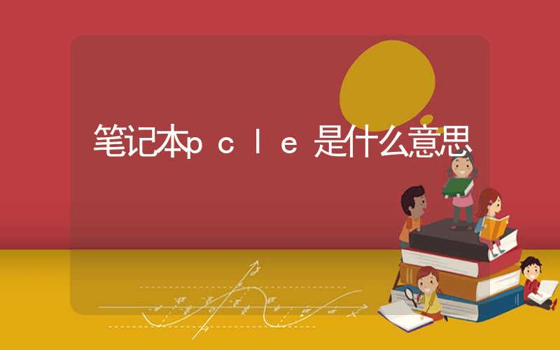 笔记本pcle是什么意思-第1张图片-王尘宇 笔记本pcle是什么意思-第1张图片-王尘宇