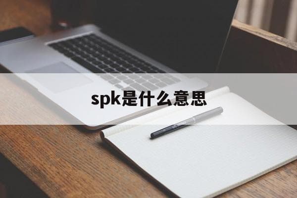 spk是什么意思-第1张图片-王尘宇 spk是什么意思-第1张图片-王尘宇