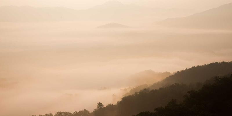 豆包、DeepSeek、Kimi谁更爱引用你的网站——2026年多平台GEO差异实测-第1张图片-王尘宇