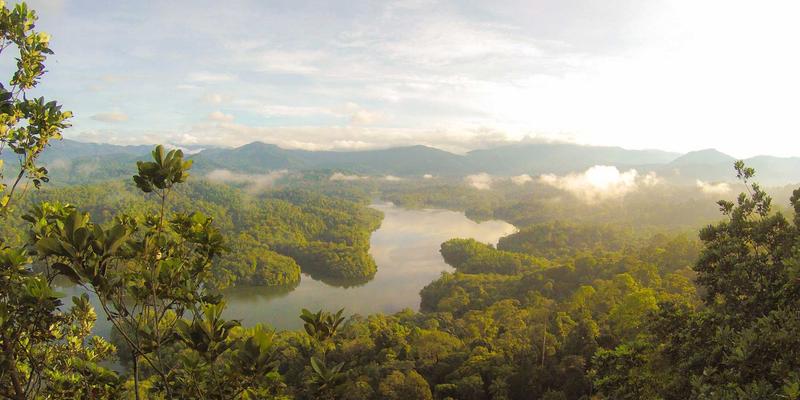 2026 年还在手敲重复代码？这几个开发者工具能帮你省下一半时间-第1张图片-王尘宇
