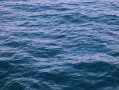 2026年网站流量从哪来？我们测了五条路
